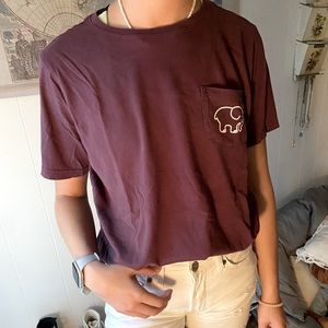 Ivory Ella tee ,size M ,maroon